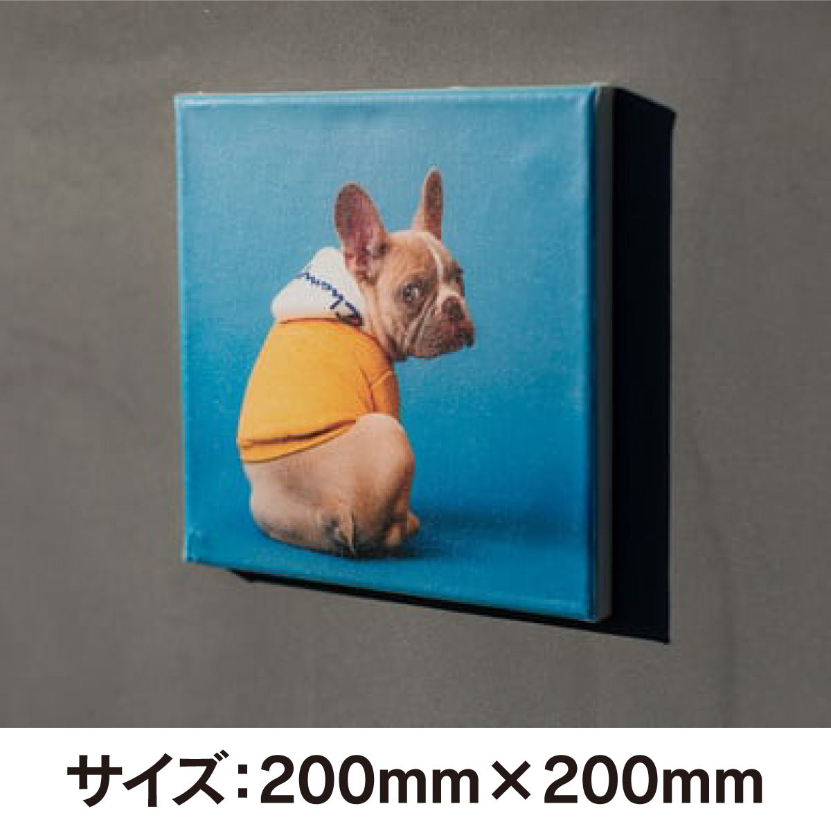 キャンバスボード